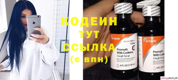 не бодяженный Инсар