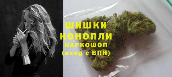 прущая мука Инта