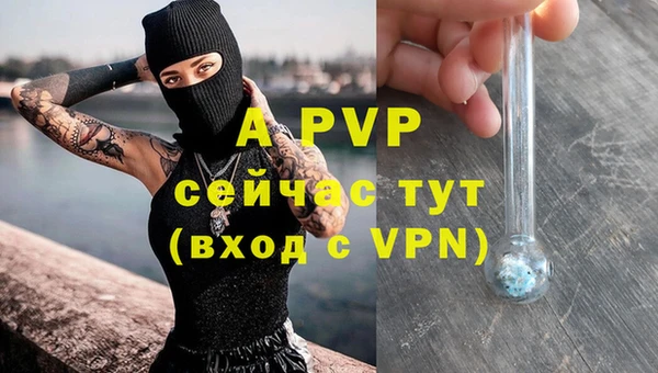 прущая мука Инта