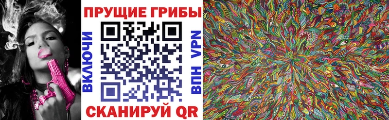 Купить  Зерноград  Галлюциногенные грибы Psilocybine cubensis 